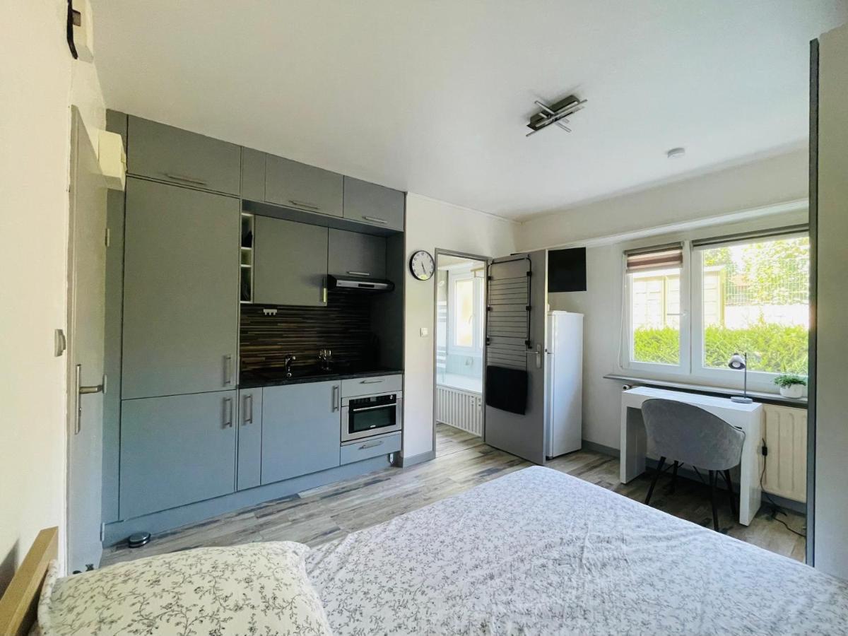 Dnn - Stylish Studio - Free Wifi, Netflix And Parking - Min Away To Basel And Airport - Dishwasher, Washing Machine Saint-Louis  Extérieur photo
