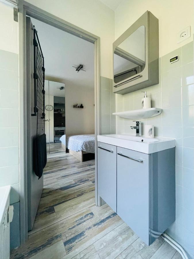 Dnn - Stylish Studio - Free Wifi, Netflix And Parking - Min Away To Basel And Airport - Dishwasher, Washing Machine Saint-Louis  Extérieur photo