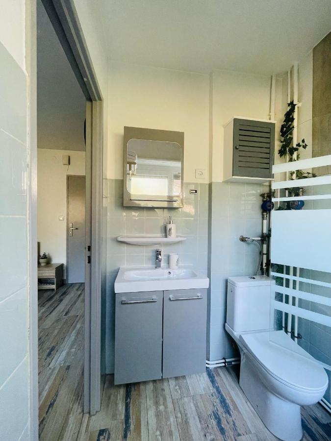 Dnn - Stylish Studio - Free Wifi, Netflix And Parking - Min Away To Basel And Airport - Dishwasher, Washing Machine Saint-Louis  Extérieur photo